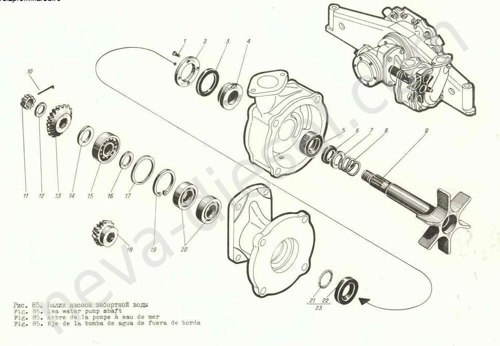 Д 6 1 1 4. Насос забортной воды Барнаултрансмаш. Крыльчатка насоса забортной воды дизеля д12 584-07-82. Втулка насоса забортной воды ДГ. 152.31.164.. Насос забортной воды 7д6.